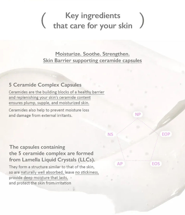 Haruharu Wonder Black Rice 5 Ceramide Barrier Moisturizing Cream – Crema Hidratante Vegana con Ceramidas [prt-247]