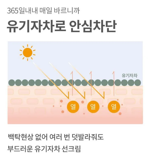Mixsoon Centella Sun Cream – Protector Solar FPS 50+ PA++++ con Centella Asiática [prt-248]